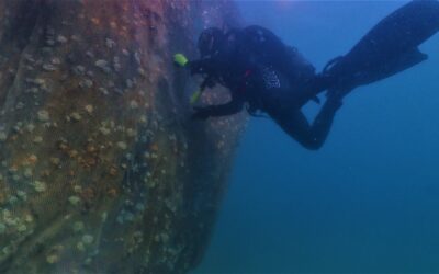 Aegean Rebreath στη Λευκάδα